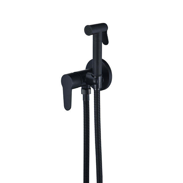 Brass black toilet seat bidet faucet